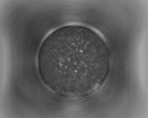 X0000113551279200909251030