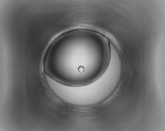 X0000113551280200909251030