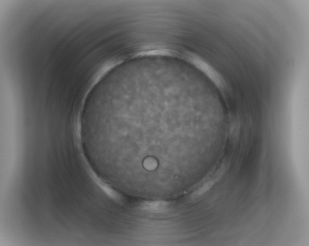 X0000113551282200909251030