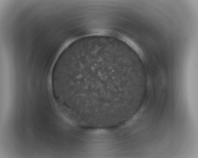 X0000113551283200909251030