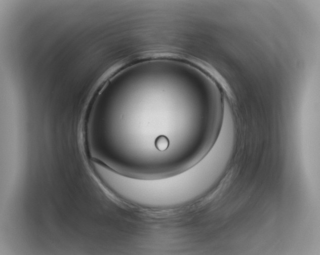 X0000113551285200909251030