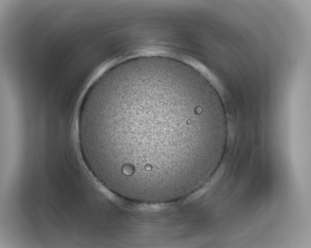 X0000113551286200909251030