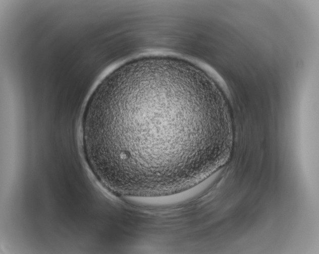 X0000113551287200909251030