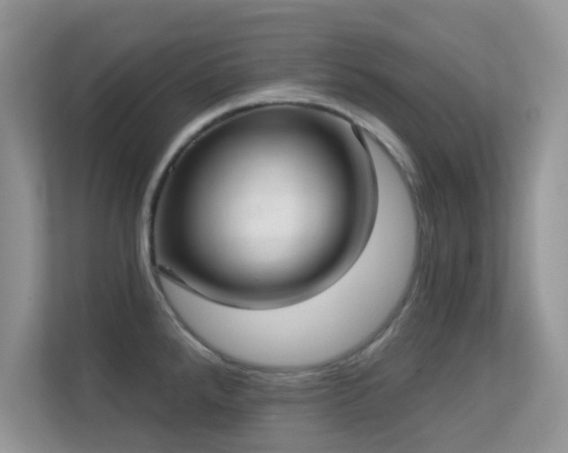 X0000113551288200909251030