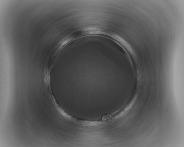 X0000113551289200909251030