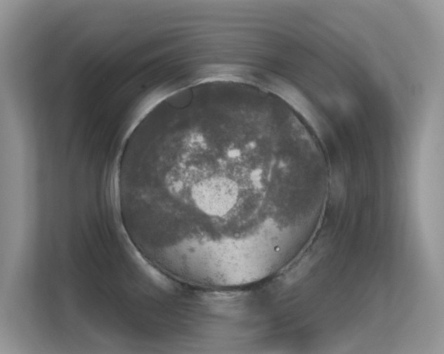 X0000113551290200909251030