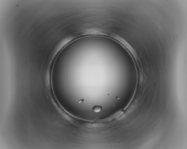 X0000113551293200909251030