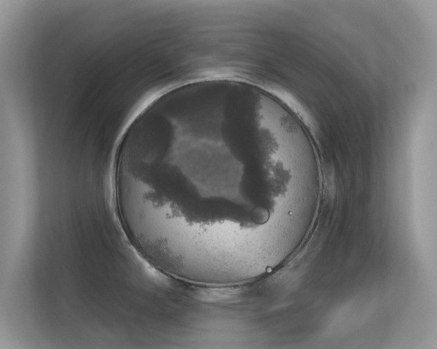 X0000113551294200909251030