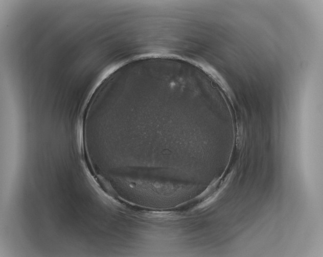 X0000113551295200909251030