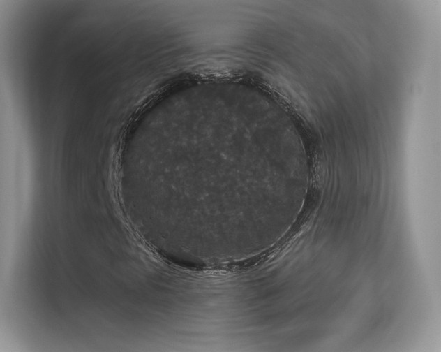 X0000113551297200909251029