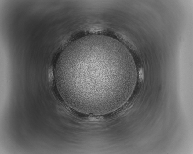 X0000113551299200909251030