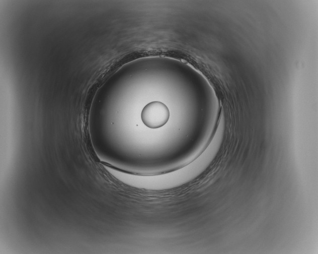 X0000113551300200909251030