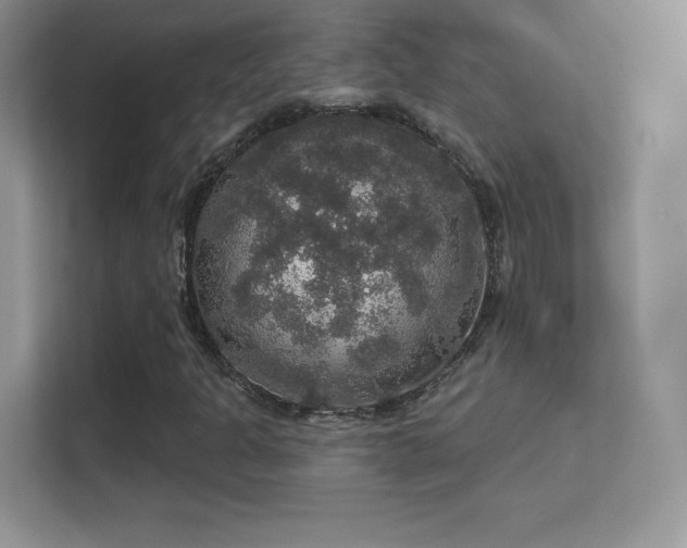 X0000113551301200909251030