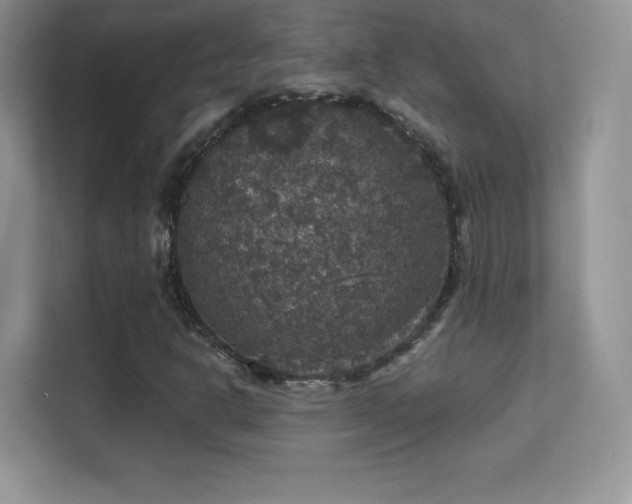 X0000113551302200909251030