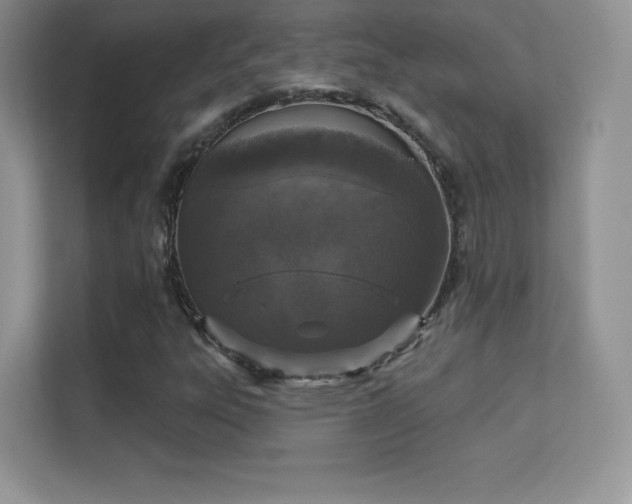 X0000113551303200909251030