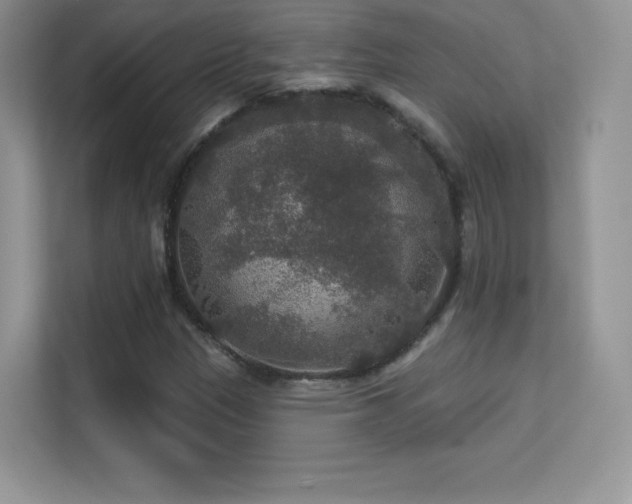 X0000113551305200909251030