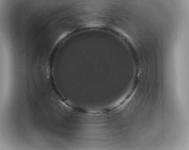 X0000113551306200909251030