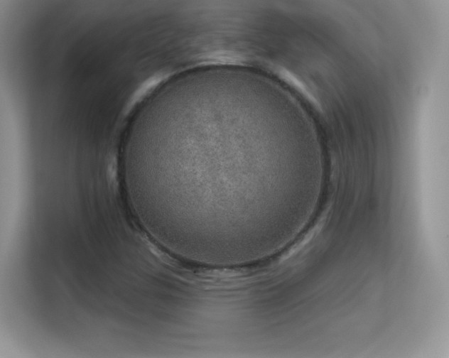 X0000113551307200909251030