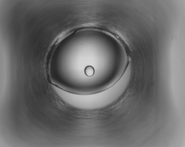 X0000113551308200909251030