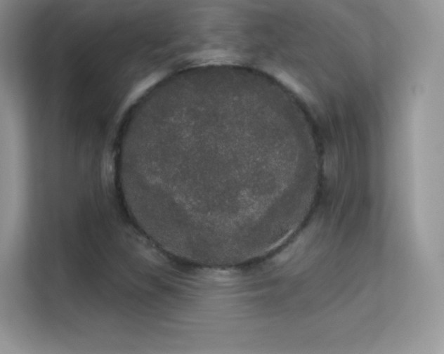 X0000113551309200909251030