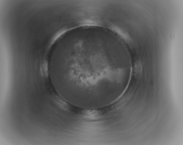 X0000113551310200909251030