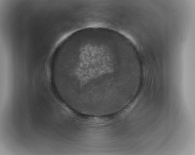 X0000113551311200909251030