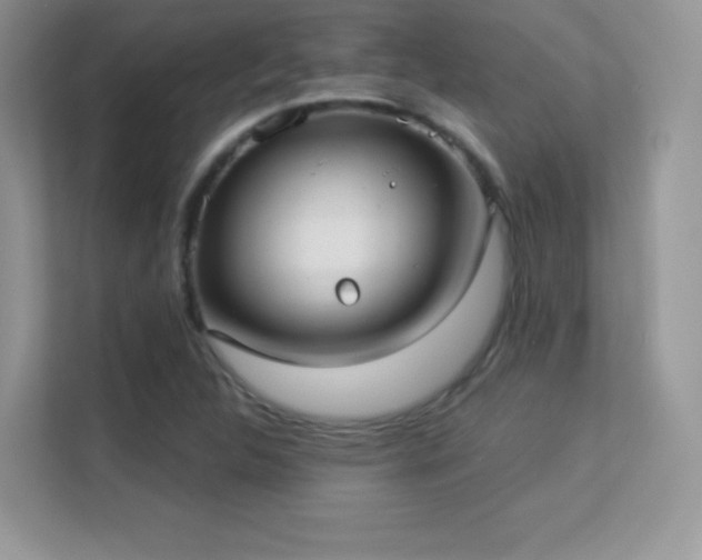 X0000113551312200909251030