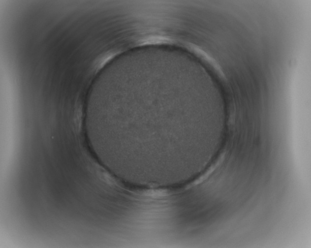 X0000113551313200909251030