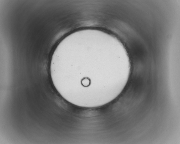 X0000113551314200909251030