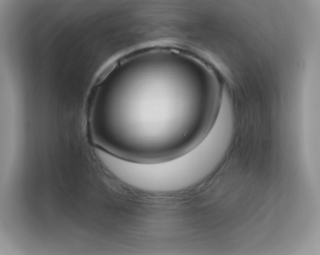 X0000113551316200909251030