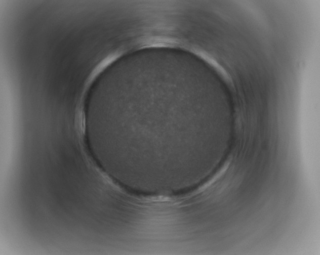 X0000113551317200909251030