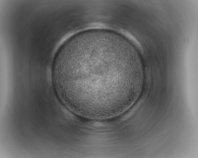 X0000113551318200909251030