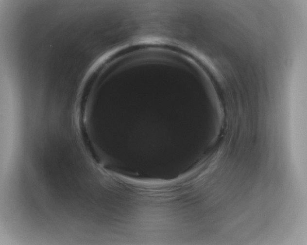 X0000113551319200909251030