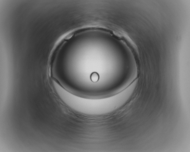 X0000113551320200909251030