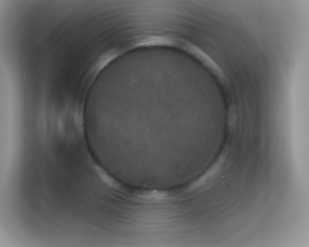 X0000113551321200909251030