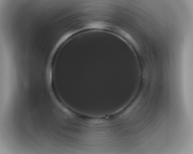 X0000113551323200909251030