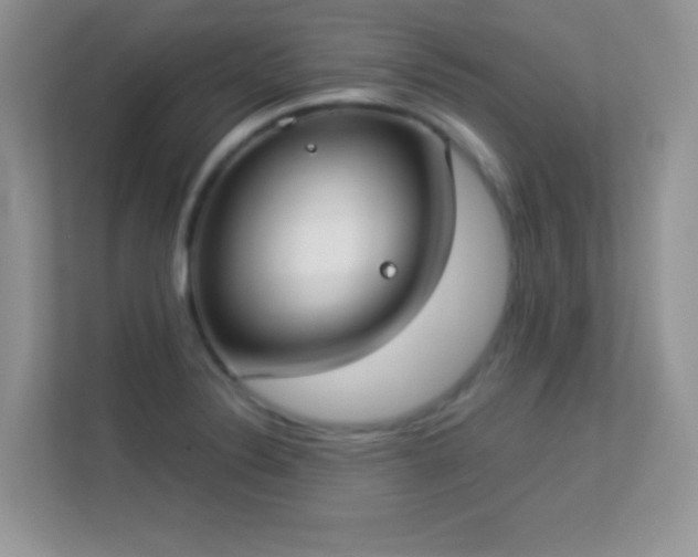 X0000113551324200909251030