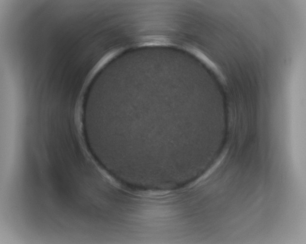 X0000113551325200909251030