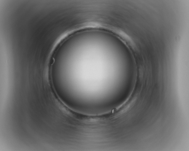 X0000113551326200909251030