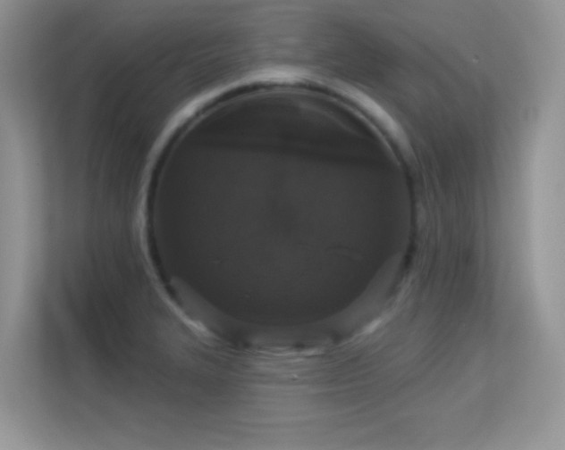 X0000113551327200909251030