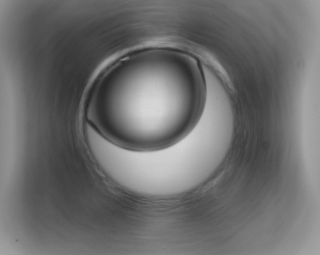 X0000113551328200909251030