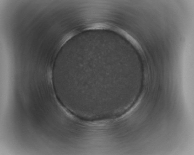 X0000113551329200909251030