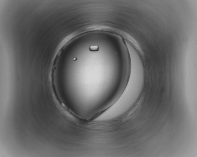 X0000113551330200909251030