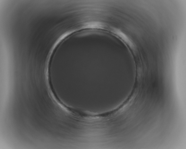 X0000113551331200909251030