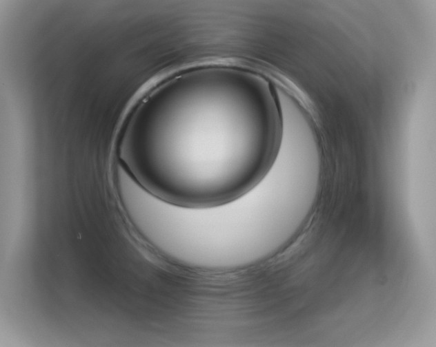 X0000113551332200909251030