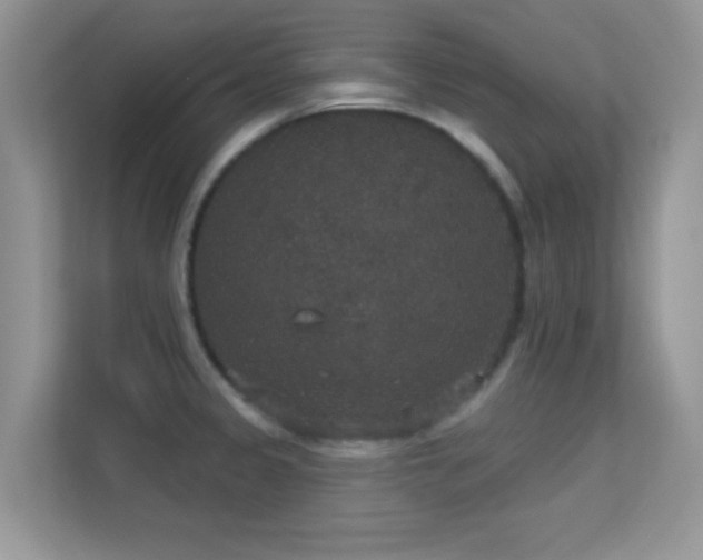 X0000113551333200909251030