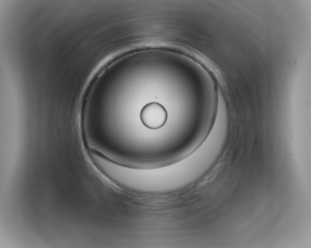 X0000113551334200909251030