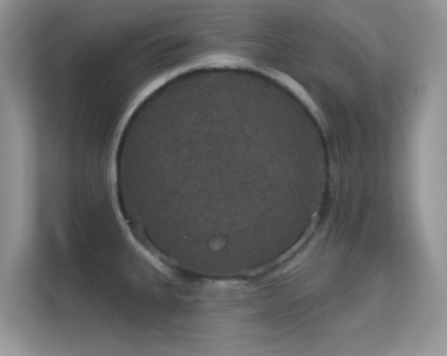 X0000113551335200909251030