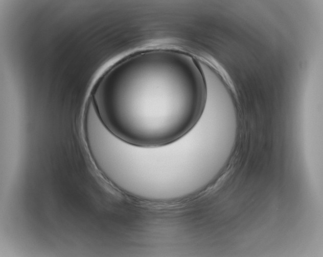 X0000113551336200909251030