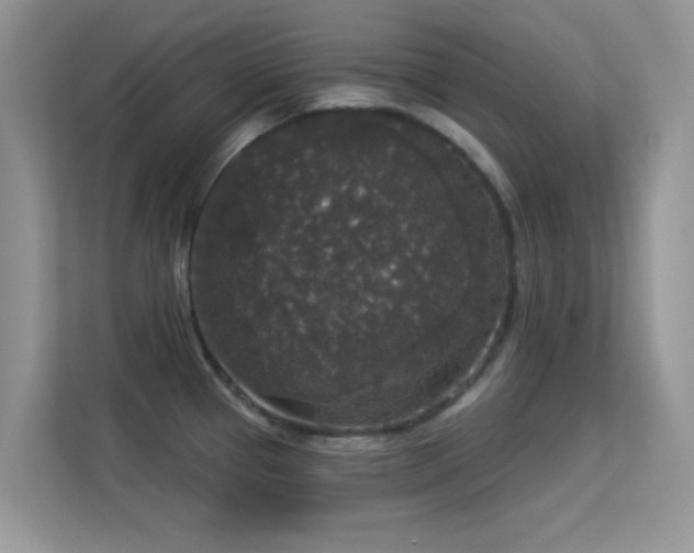 X0000113551337200909251030